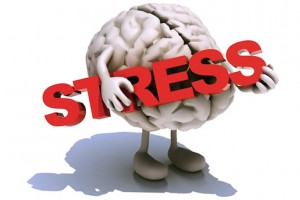 HSSE Article 2- ANEURYSM