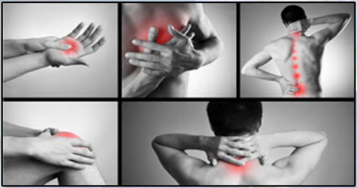 Musculoskeletal Disorder (MSD)