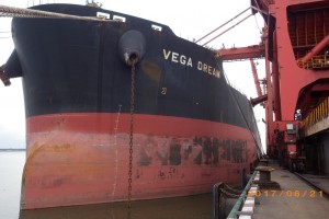 MV VEGA DREAM