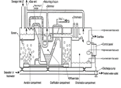 Understanding Sewage Treatment Plant Operation
