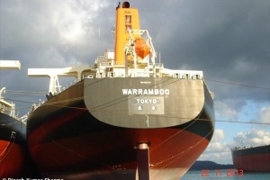 MV WARRAMBOO